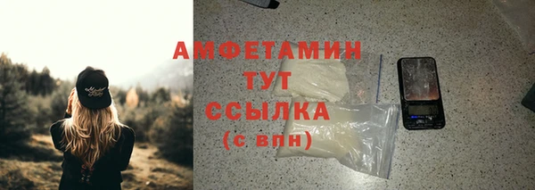 дживик Богородск