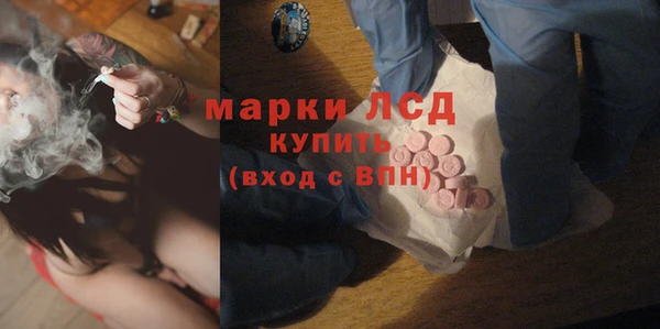 дживик Богородск