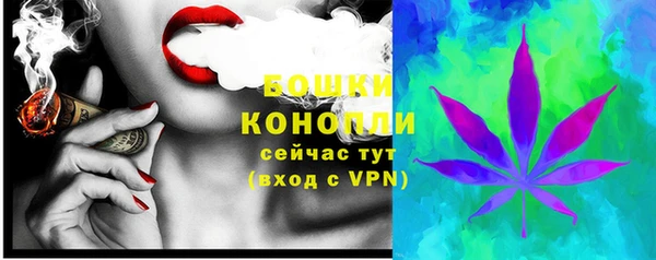 дживик Богородск