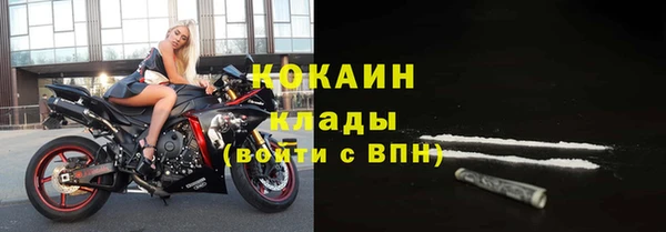 дживик Богородск